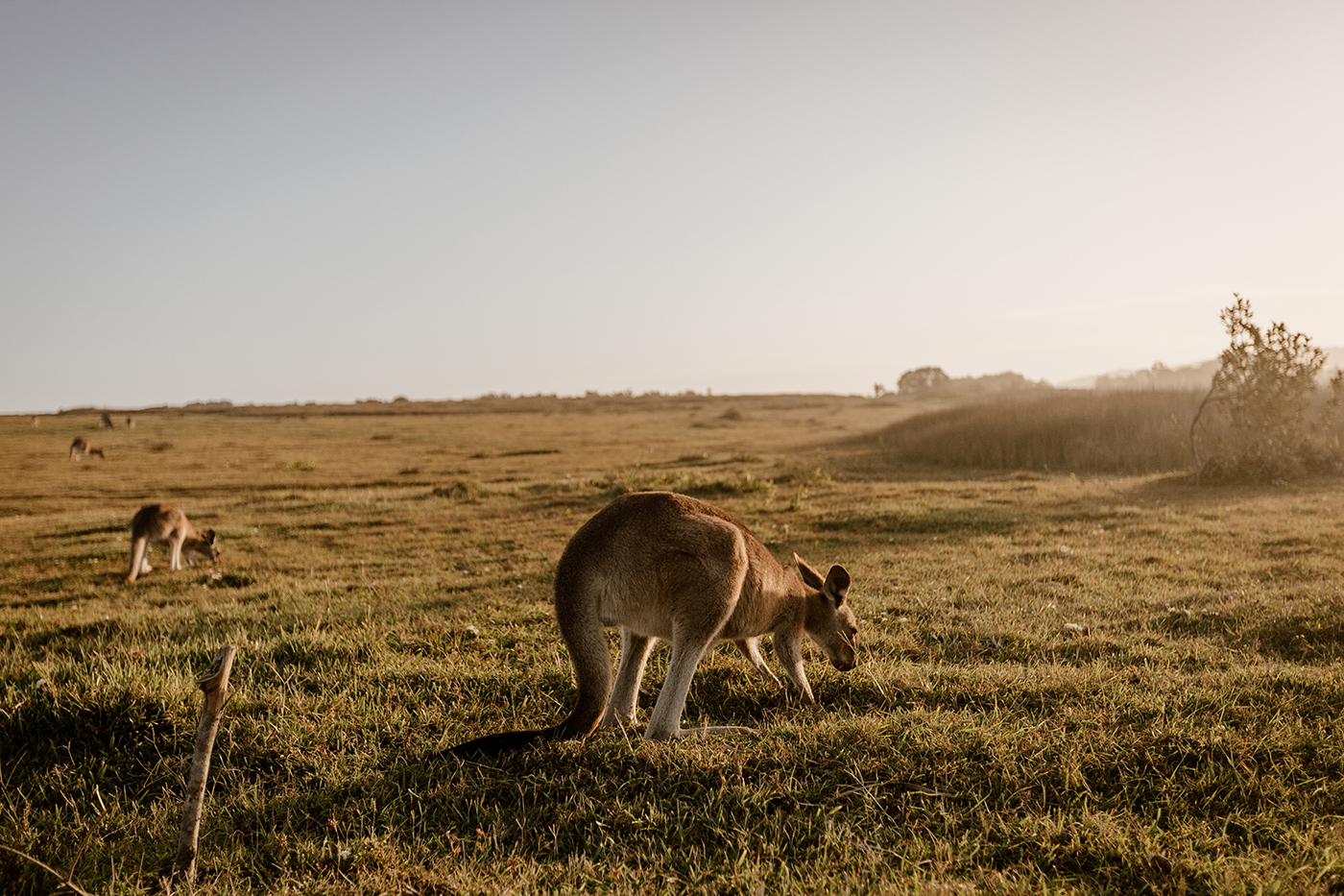 Migration Update 04 Feb 2022