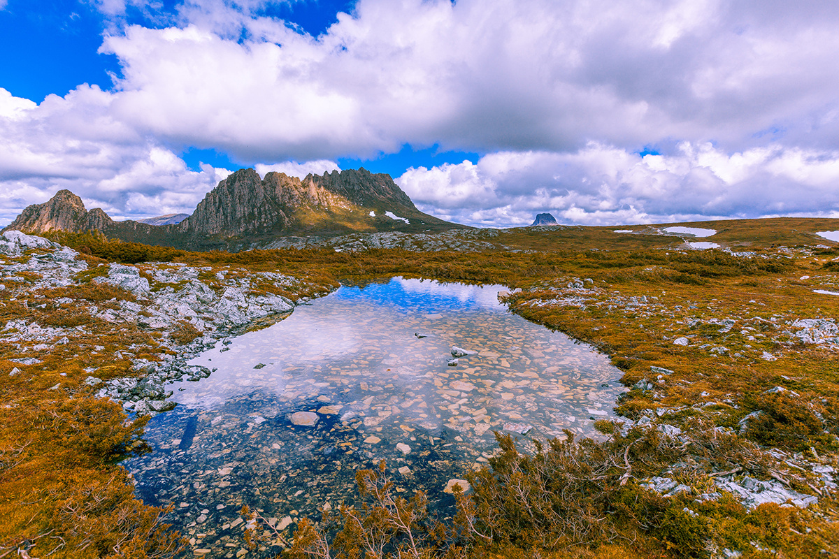 Migration Update 22 Jul 2022