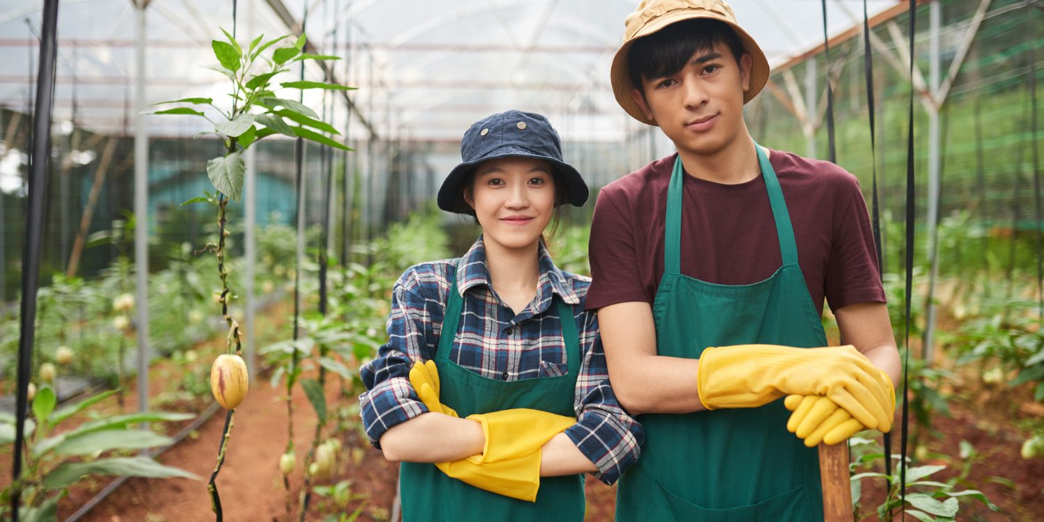 Second Working Holiday Visa in Australia